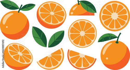 Stylized vector illustration set of fresh oranges including whole fruit slices and leaves