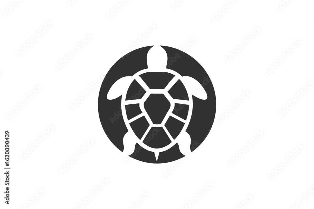 Obraz premium Vector illustrations of turtles vector