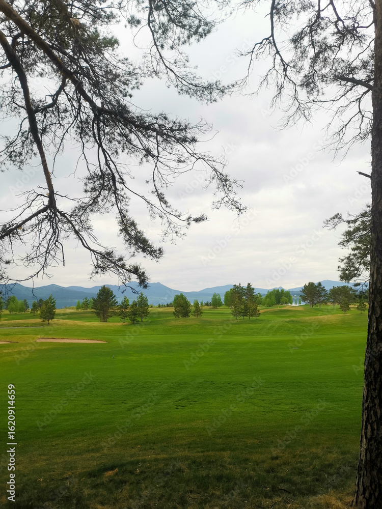 Obraz premium Golf course