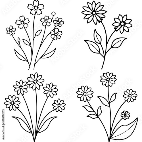 Wild Flowers Coloring Page, Floral Outline, Nature Drawing, Meadow Coloring Sheet