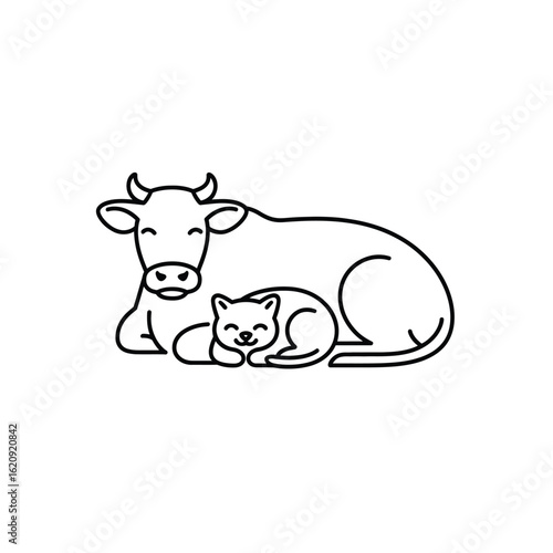 Cow cat resting together animals