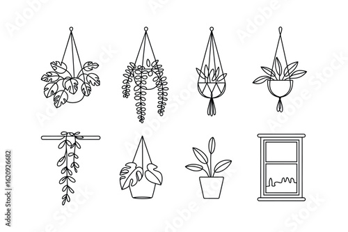 Hanging plants and window line art potted plants macrame hangers