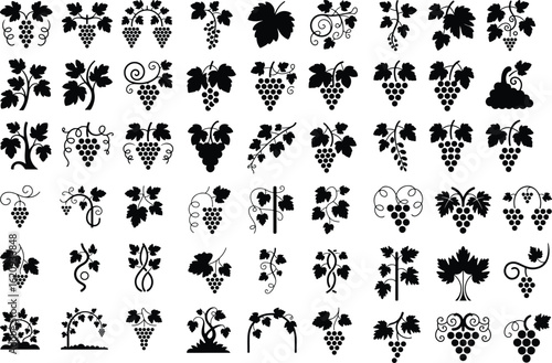 Grapevine Silhouette Icon Set – Natural Fruit Design Vineyard Grape Plant Silhouette Icons for Wine & Nature Themes