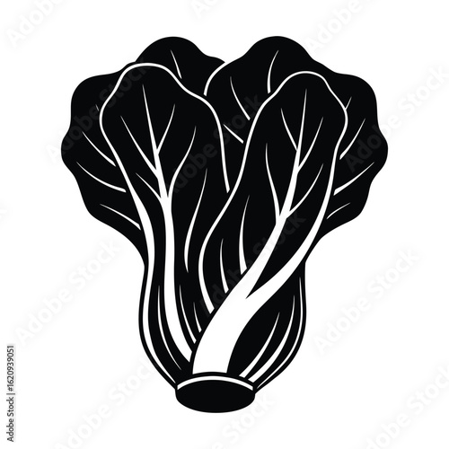 Fresh Bok Choy Vegetables Organic Green Food Healthy Eating on White Background