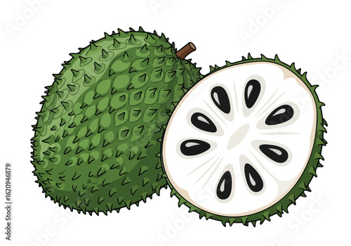 Soursop fruit, also known as guanabana, cut in half to show its white flesh and black seeds, isolated on white background