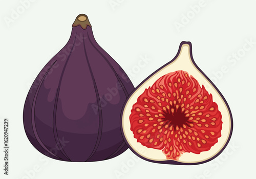 Whole and halved ripe purple fig isolated on white background