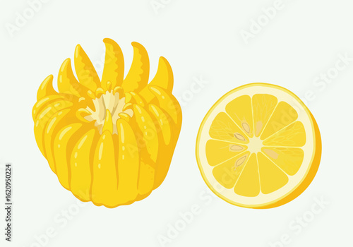 Buddhas hand citron and a slice of lemon isolated on white background
