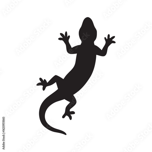 Detailed Silhouette of a Small Reptile Clinging to a Surface with Legs Spread Wide and Tail Curved