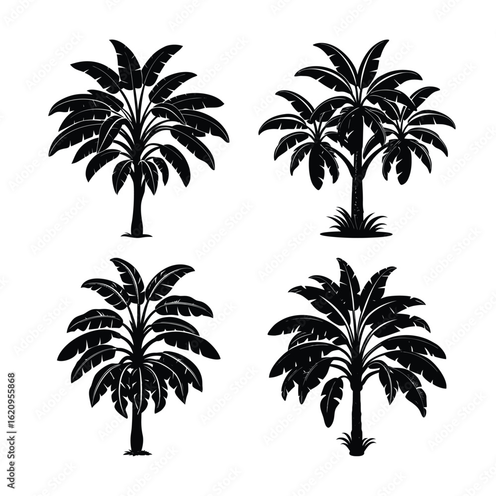 Fototapeta premium set of black and white banana trees