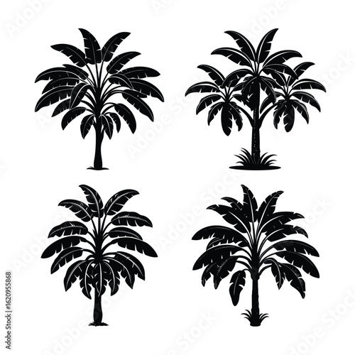  set of black and white banana trees