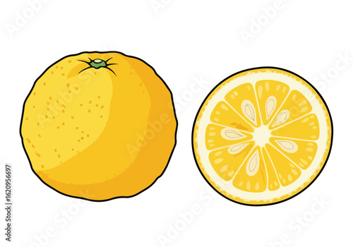Orange citrus fruit, isolated on white background