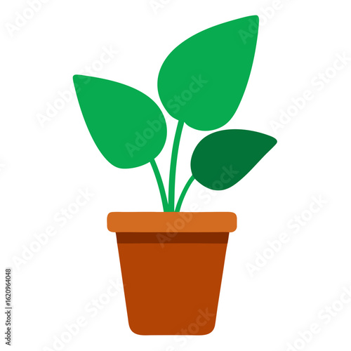 Green houseplant in a terracotta pot isolated on transparent background
