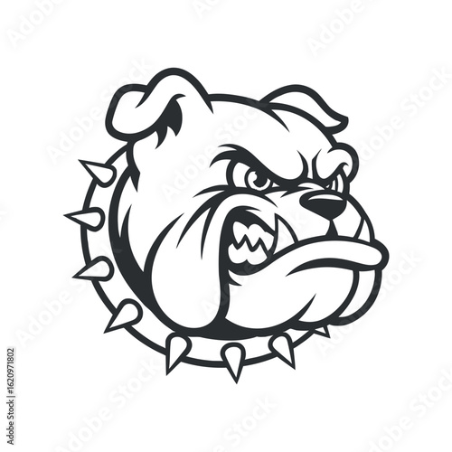 Aggressive Bulldog Head with Spiked Collar Vector Illustration for Mascot Logo or Sport Team Emblem and Graphic Design Projects