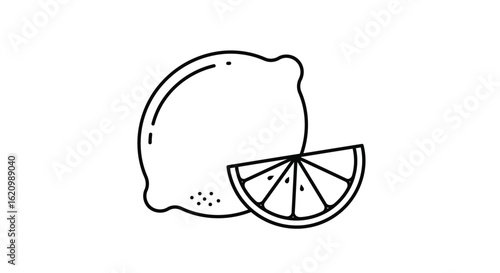 Fresh lemon and slice outline on plain background, minimalist citrus fruit illustration for summer themes and healthy eating concepts