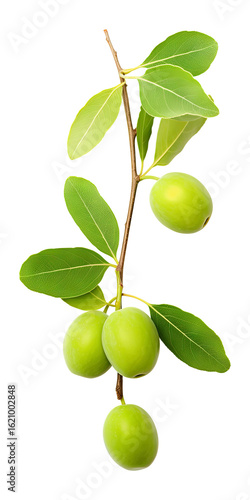 Wallpaper Mural Kakadu plum fruit with leaf isolated on transparent white background, clipping path Torontodigital.ca