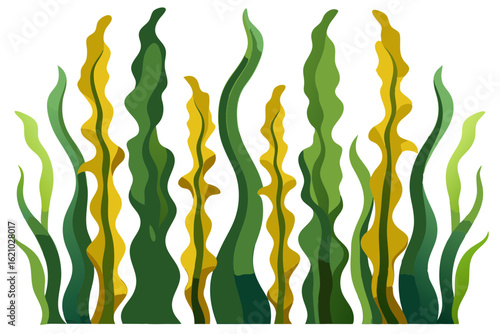 Ocean Kelp Forest Drawing with Long Flowing Marine Leaves