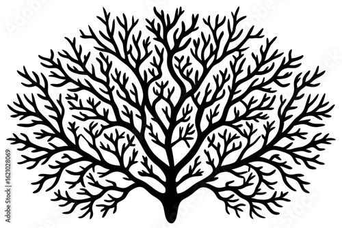 Delicate Coral Reef Illustration for Ocean Scenes
