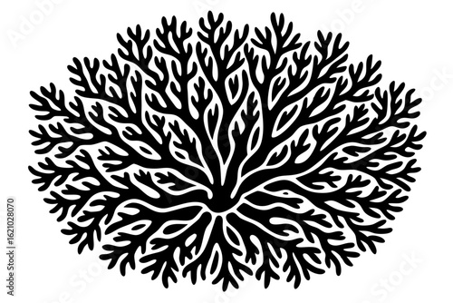 Fine Coral Branches Vector Design for Undersea Decor