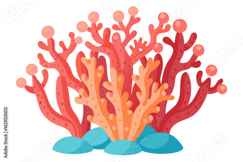 Realistic Coral Polyps Vector with Ocean Texture and Detail
