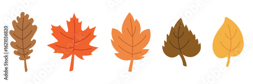 Set of Colorful Autumn Leaves Isolated. Flat Hand Drawn Vector Illustration of Oak, Maple, and Birch Leaves. Fall Season Foliage Elements for Design and Decoration.