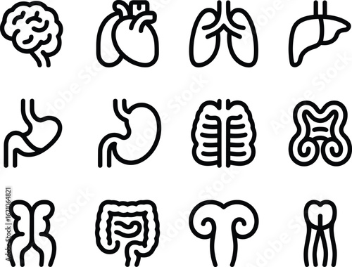 Collection of human organ icons in a grid format