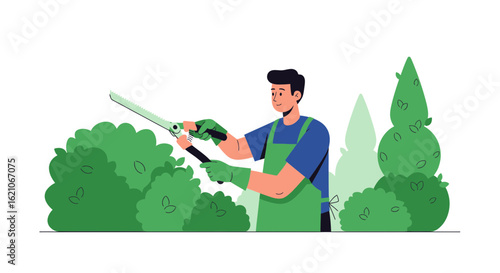Professional Gardener Trimming Hedges With Clippers In Summer Season Concept