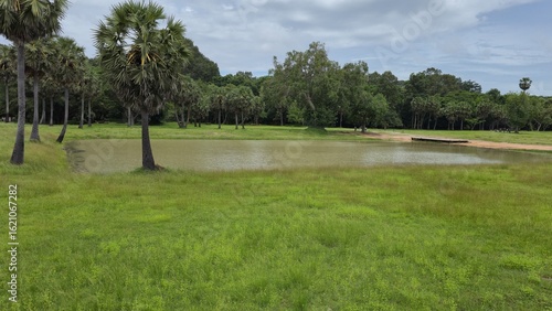 Angkor Wat, Cambodia - 3 January 2025. A shallow pond with grassy edges and palm trees stands beside a sandy area.