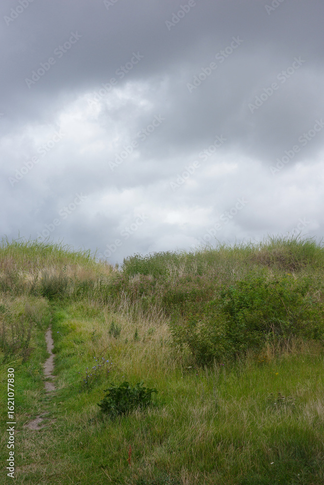 Fototapeta premium Cloudy sky over beach hill