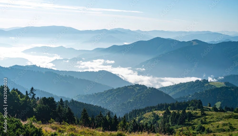 Fototapeta premium Extensive Carpathian Mountain Range Forest Landscape with Foggy Sky View