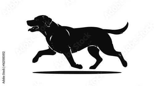 Silhouette of a black labrador retriever running quickly with its tongue out against a white background on transparent background