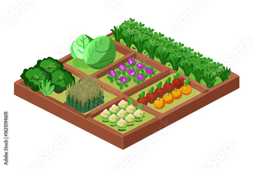 Isometric vegetable garden with various crops and plants