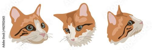 Vector illustrations of heads of domestic cats. Cute pets with different characters and emotions. Adorable kittens on a white background in a flat style. For stickers, textiles and scrapbook.