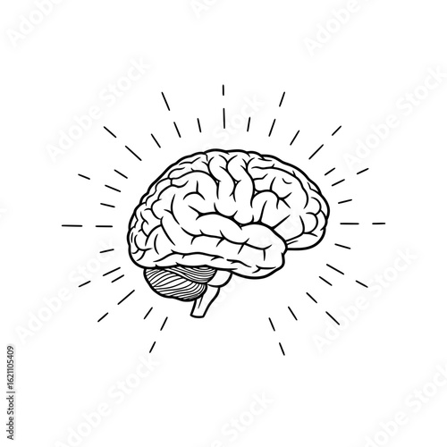 Illustration of a human brain with radiating lines, symbolizing thought and ideas, isolated on white background