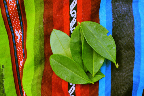 Coca leaves on aguayo tablecloth