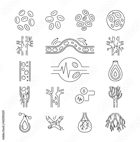 Cardiology and hematology line icon set. Vector symbols of blood circulation, red blood cells, and artery disease like atherosclerosis for medical illustration.

