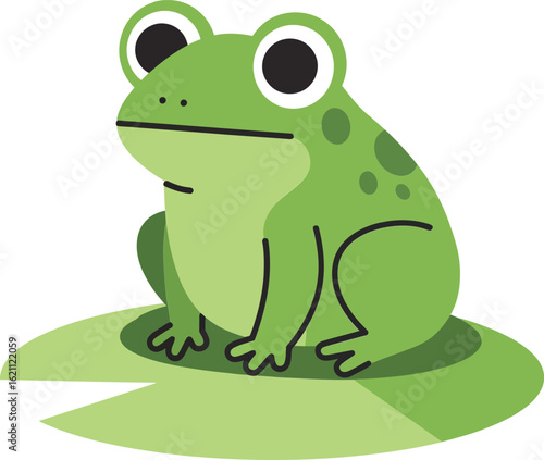 Green frog sitting on lily pad vector illustration with big eyes and simple design natural amphibian animal