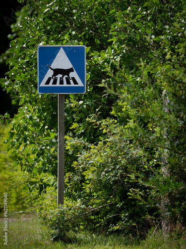 Home made road sign to protect the local cat