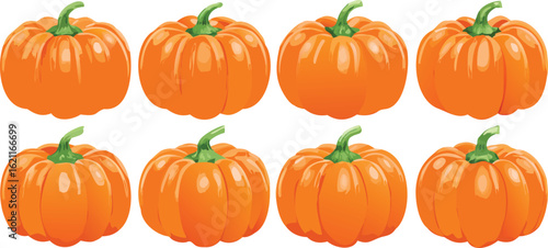 Fresh pumpkins and other orange gourds are isolated against a white background for a festive Halloween or Thanksgiving harvest