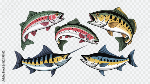 A collection of various fish species including trout, salmon, marlin, and tuna, depicted in a vibrant illustration