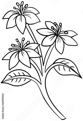 Blue Lignum Vitae Flower Vector Outline Line Art Drawing