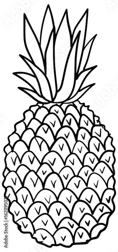 Pineapple Fruit Vector Outline Line Art Drawing