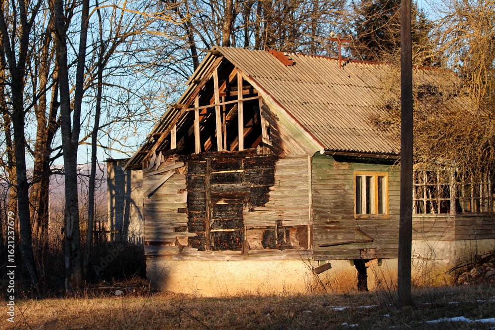 Obraz premium A wooden house with extensive fire damage and missing boards exposes its skeletal beams and charred panels, standing on a cracked foundation amid wild undergrowth at forest’s edge