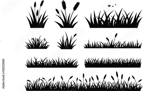 Collection of black silhouette grass and reeds on white background