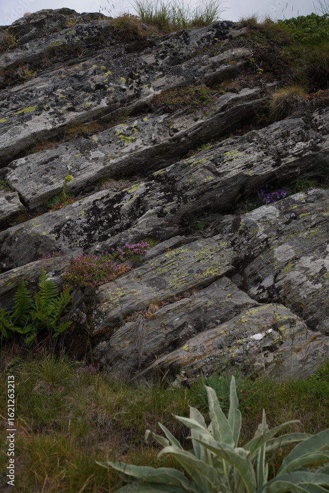 Naklejka premium rocks in the mountains