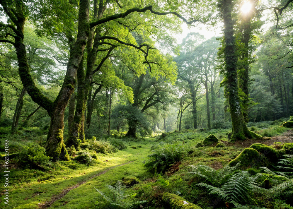 Naklejka premium Lush green forest backdrop