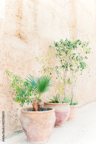 Terracotta plants pots in front of an Adobe wall in Morocco