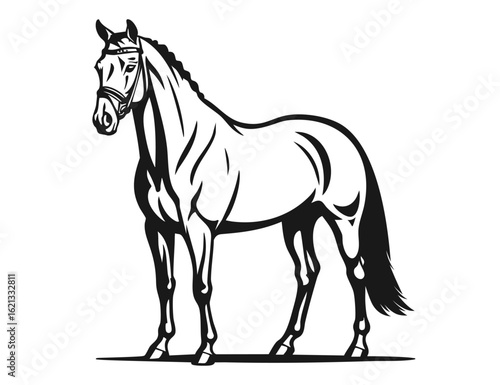 Silhouette of a standing horse with braided mane and bridle in elegant posture