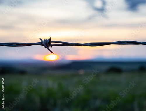 Barbed wire sunrise