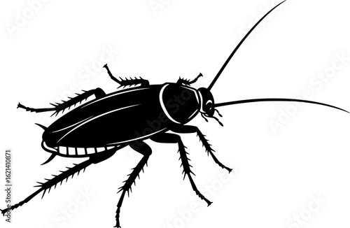Cockroach silhouette. This image shows a black silhouette of a cockroach with detailed antennae, legs, and segmented body, symbolizing a common pest insect. Vector clipart illustration design