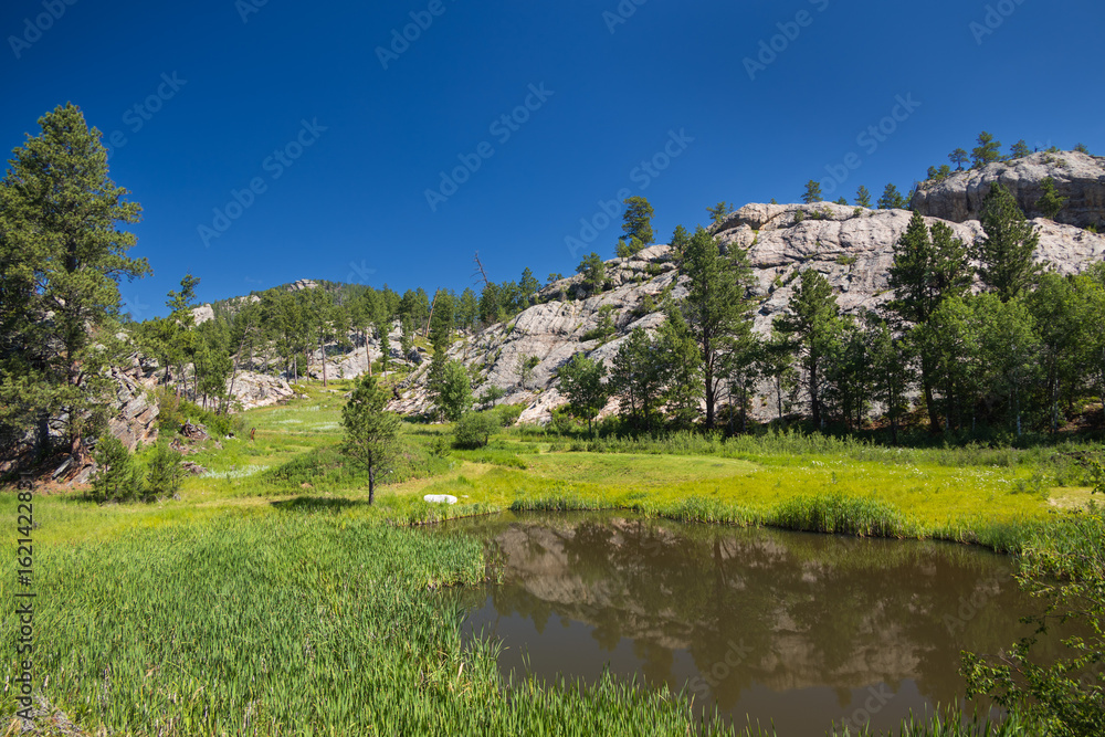 Lake in a meadow in the Black Hills of South Dakota Lake in a meadow in the Black Hills of South Dakota